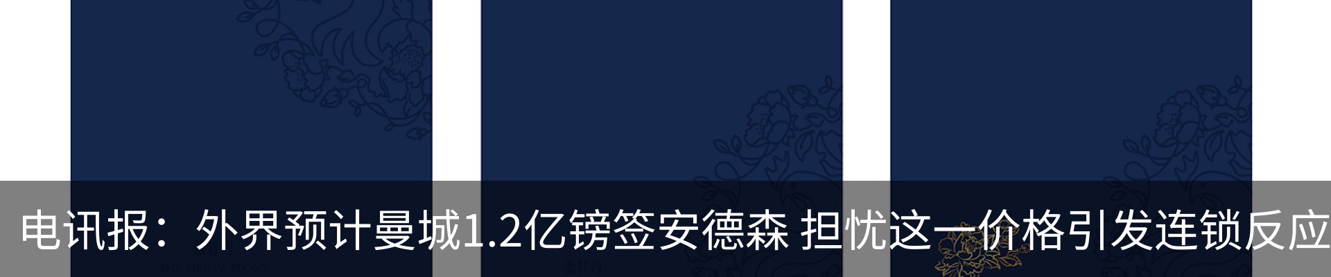 新闻动态